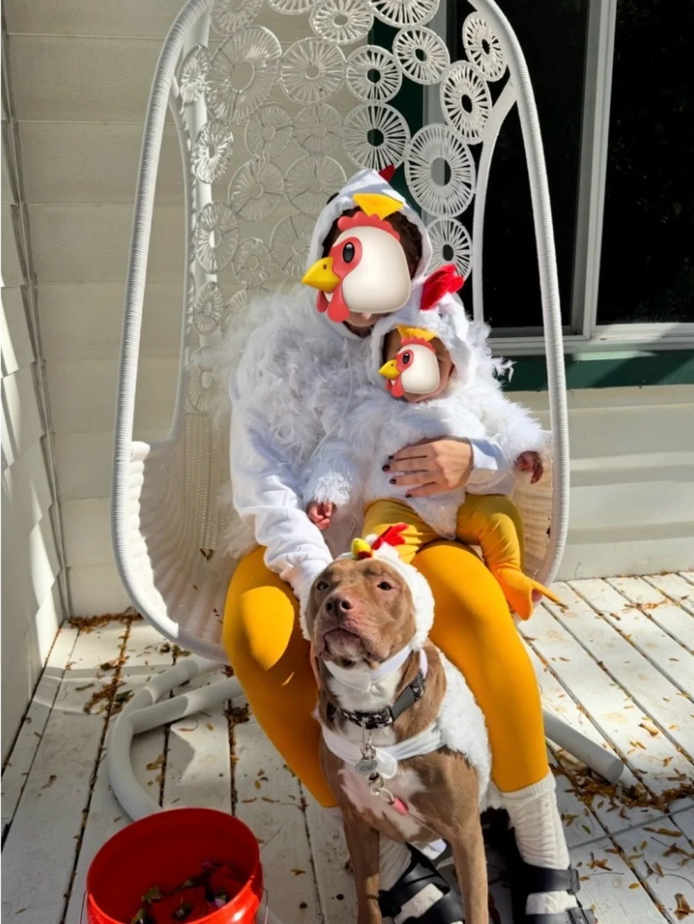 Pottery Barn Kids chicken costume - Picture 2 of 5